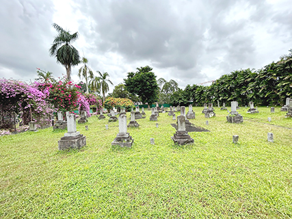 這裡有很多南洋姊的墓