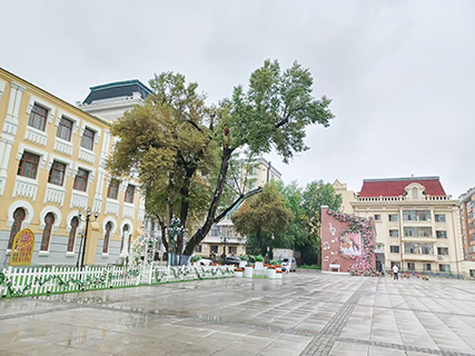 老會堂音樂廣場與花瀑布相連