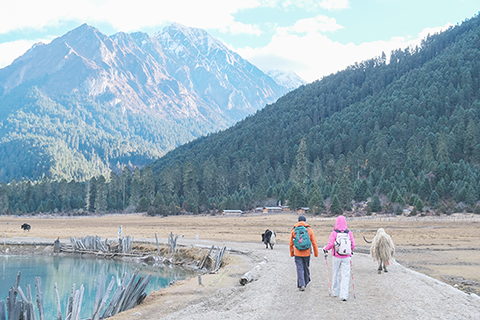◎ 十一月九日清晨,徒步愛好者在巴松措以東三十公里的新措體驗高原徒步。(中新社記者 江飛波 攝)