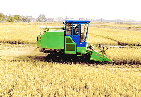 米東區三道壩鎮韓家莊村農田裡,機械正在收割水稻(資料圖)。 (李軍 攝)