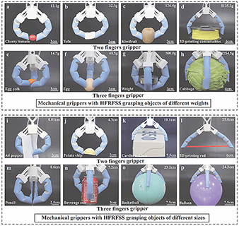 ◎ 中國地質大學(武漢)科研團隊研發出一款仿人手指,適用於抓取超薄或超脆物體。裝有仿人手指的抓持器能够抓取不同重量、硬度、形狀和大小的物體。(研發團隊供圖)