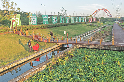 ◎ 這是廣西南寧市那考河濕地公園初冬景色(十一月十四日攝,無人機照片)。(新華社記者 周華 攝)