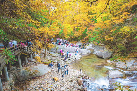 ◎ 十一月十五日,遊人在四川省巴中市光霧山旅遊區賞景。(新華社發 付海旭 攝)