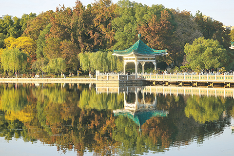 ◎ 十一月十三日在湖北省武漢市東湖風景區拍攝的初冬景色。(新華社發 趙軍 攝)
