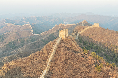 ◎ 十一月十五日拍攝的晨光映照下的河北省承德市灤平縣金山嶺長城(無人機照片)。(新華社發 周萬平 攝)
