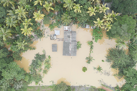 ◎ 十一月廿九日,在斯里蘭卡凱勒尼耶地區,房屋被洪水淹沒(無人機照片)。受熱帶氣旋「迪特瓦」影響,連日暴雨導致斯里蘭卡多地發生洪水、山體滑坡等災害。斯里蘭卡總統迪薩納亞克當日宣佈,因全國多地連日遭遇極端天氣,斯里蘭卡廿八日起進入公共緊急狀態。(新華社發 蒂拉納.卡盧托塔格 攝)