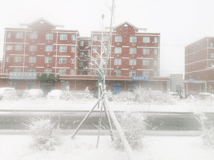 路上白茫茫一片