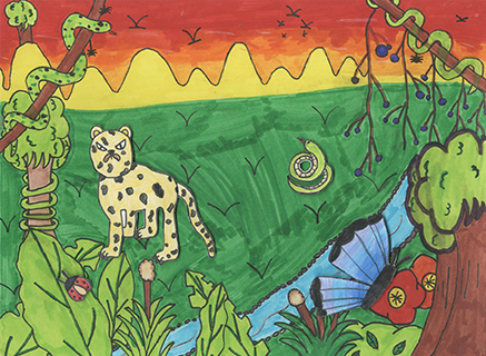 熱帶森林 菜農子弟學校 四年級 朱曉柔