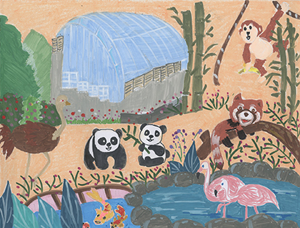 郊野公園的快樂時光 婦聯學校 五年級 許丞俊