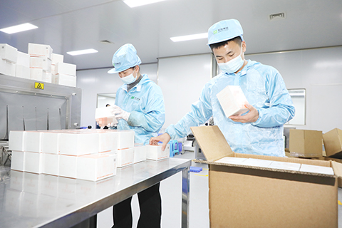 廣西金秀瑤族自治縣一家瑤藥精深加工企業生產車間裡,工人在檢查生產情況。 (劉維 攝)