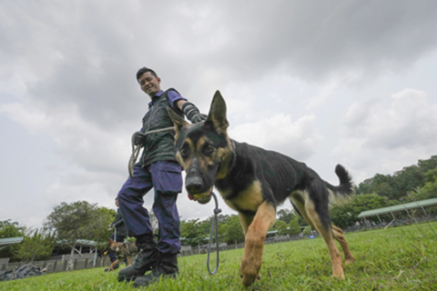 ◎ 四月十六日,香港特區政府警務處警犬隊警員在訓練。新華社發(呂小煒 攝)