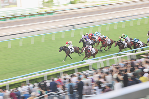 ◎ 七月一日,為慶祝香港回歸祖國二十九周年暨香港特區成立紀念日,香港賽馬會在沙田馬場舉行「香港共慶回歸賽馬日二0二六」活動。吸引不少市民前來觀賽。(香港中通社記者 鄧梓傑 攝)