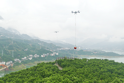 在煙燈堡村,無人機演示將紅色果箱裡滿載的新鮮臍橙吊運下山。(中新社記者 余瑞冬 攝)