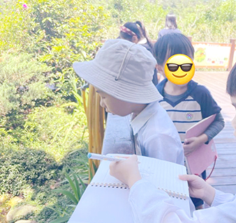 ◎ 搜尋並準備自己組別(植物或昆蟲)的相關資料